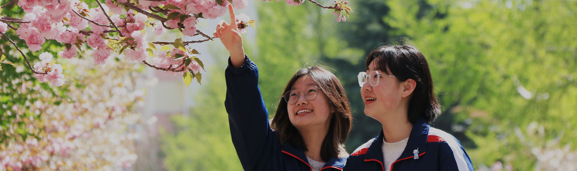 榜样学子