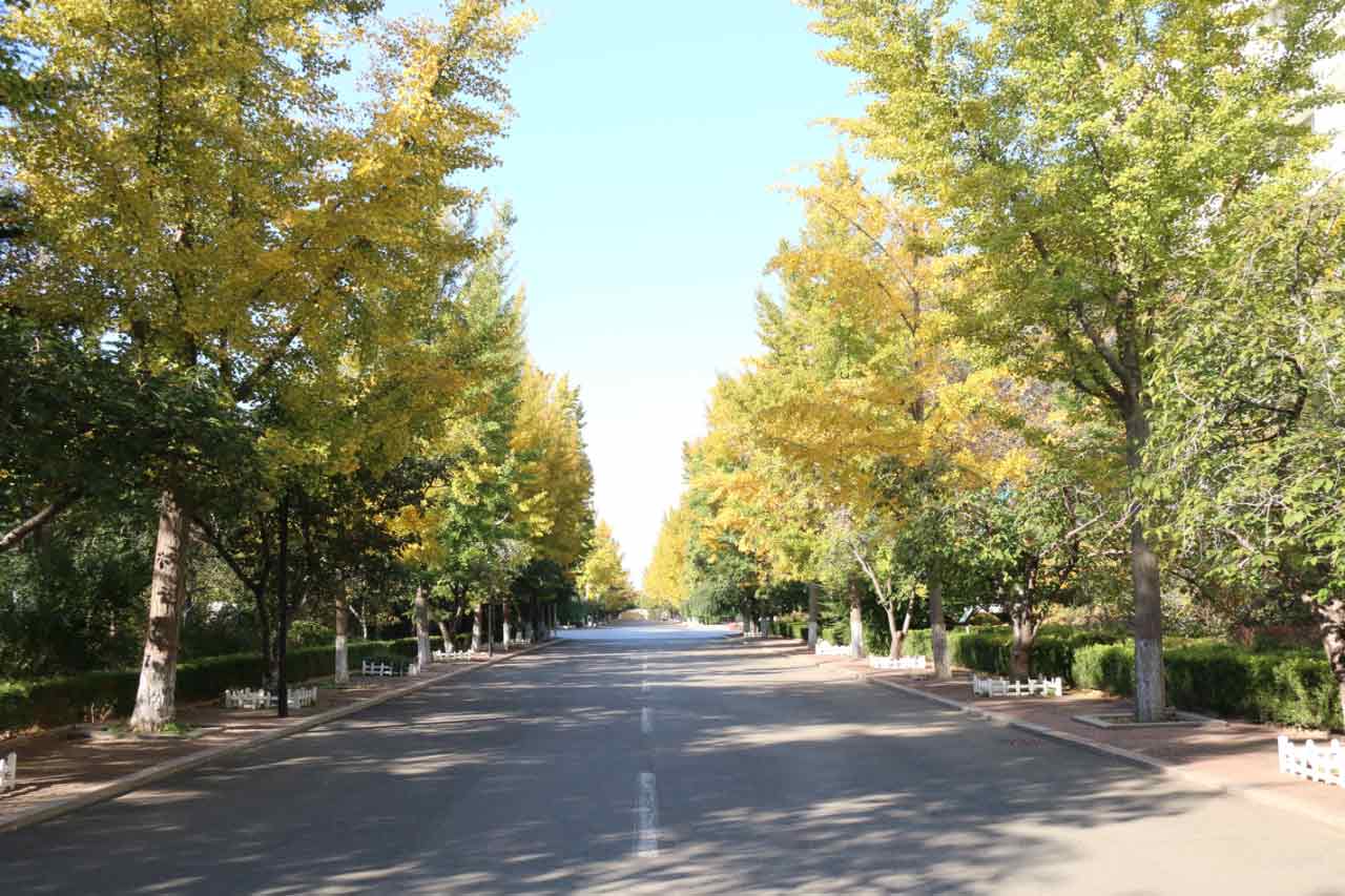 微信图片_2026-02-04_161931_147.jpg